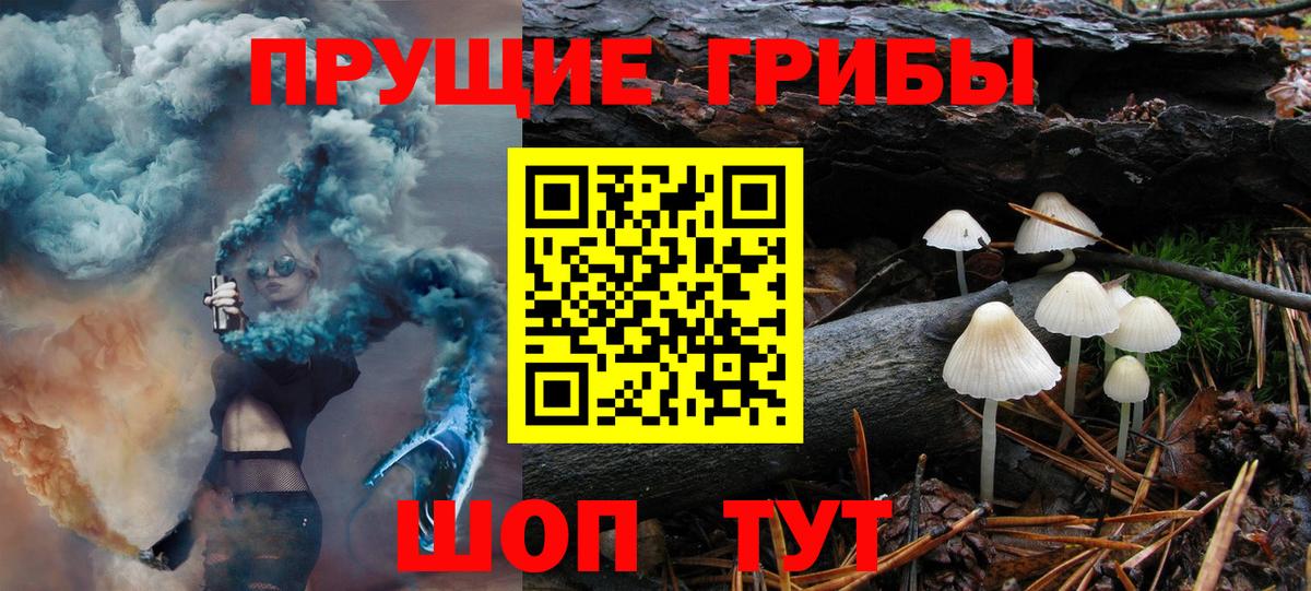 Псилоцибиновые грибы мухоморы  где купить наркоту  Конаково  Вход с VPN 